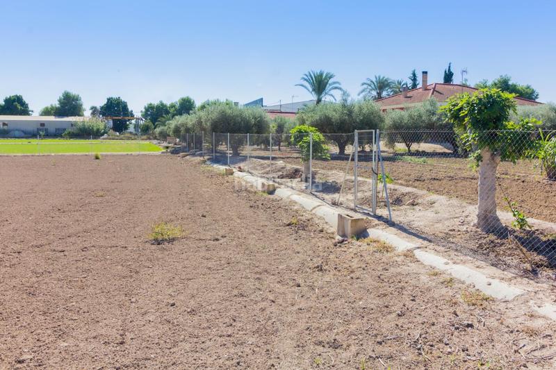 Foto d0de0ab2-bfac-4a99-b815-d282f721e1f6. Rural plot in Callosa de Segura