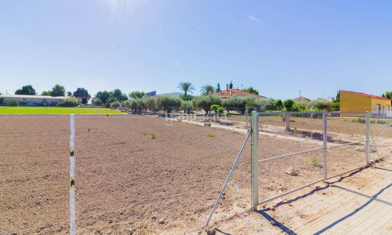 Foto eecef676-971c-4653-8f48-1f8cfc15f948. Rural plot in Callosa de Segura