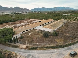 Finca rústica  Calle murada. Dos terrenos rústicos con más de 18.000m2 en orihuela carretera