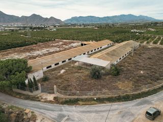 Finca r�stica  Calle murada. Dos terrenos r�sticos con m�s de 18.000m2 en orihuela carretera