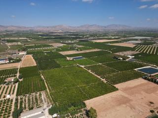 Fondo rustico  Calle murada. Oportunidad inversión parcelas rurales en orihuela