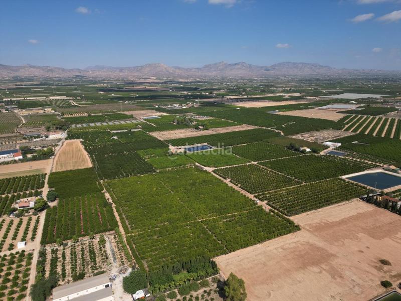 Foto 26367364-b079-43cf-be99-11372e70fdae. Landgut in La Murada - Los Vicentes Orihuela