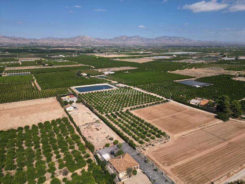 Foto 3223ca26-47c2-4361-936b-440b7e506356. Landgut in La Murada - Los Vicentes Orihuela