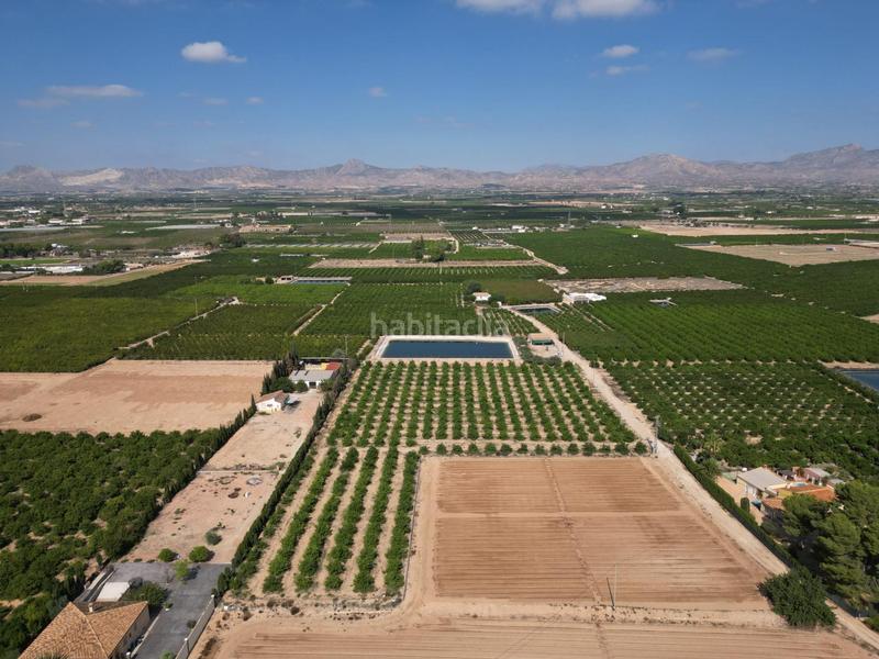 Foto 41e66810-c6b3-47d2-bd70-531e9ccfb99b. Landgut in La Murada - Los Vicentes Orihuela