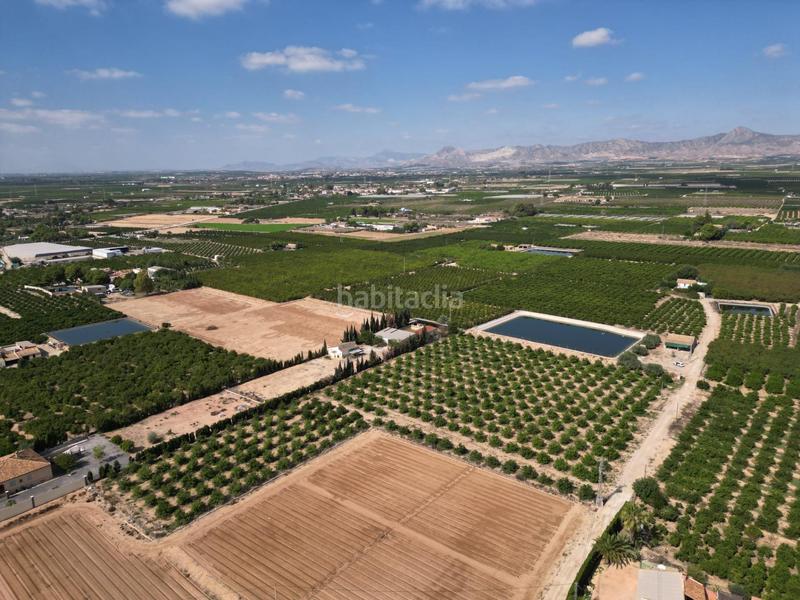 Foto 9e82d28d-a6bb-4cc1-b0f5-d5943994ff4d. Landgut in La Murada - Los Vicentes Orihuela