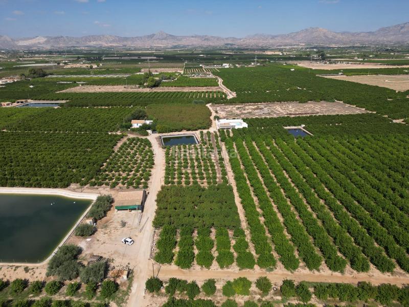 Foto d0f04314-688f-465b-9df8-21f4395ce26d. Landgut in La Murada - Los Vicentes Orihuela