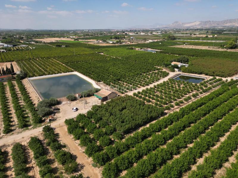 Foto d8ace2ba-567e-4022-9e60-12fb0f50b7ed. Landgut in La Murada - Los Vicentes Orihuela