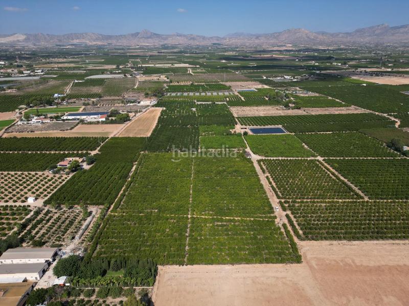 Foto ed114eaa-edc4-4373-aa3f-62afcb5b7a38. Landgut in La Murada - Los Vicentes Orihuela