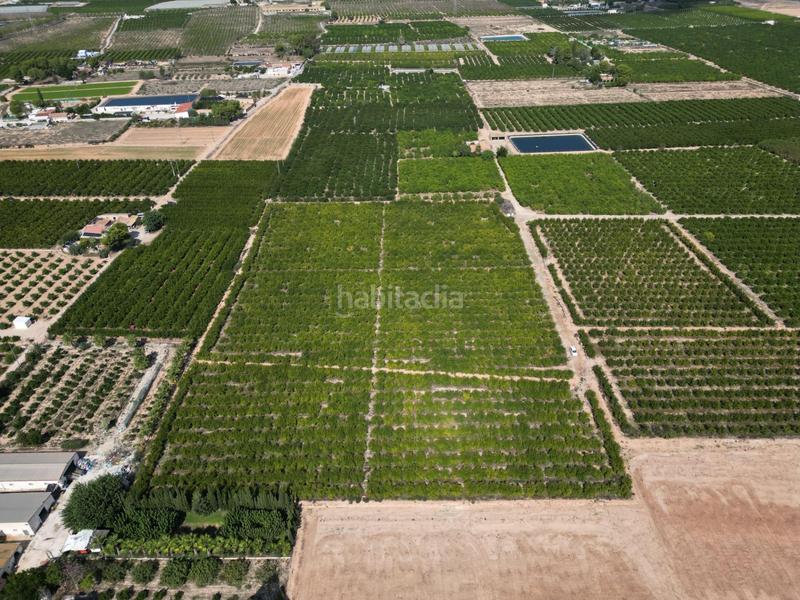 Foto fc1ae4cf-77da-4232-9cf9-75b64e0184a6. Landgut in La Murada - Los Vicentes Orihuela