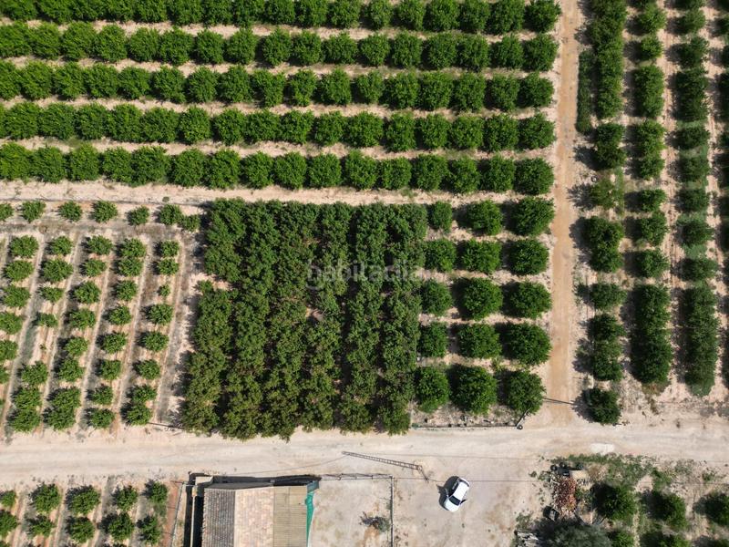 Foto fff1b161-9bff-4ffa-aa4d-992063c1c346. Landgut in La Murada - Los Vicentes Orihuela