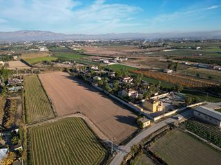Finca r�stica en Catral. Oportunidad �nica de terreno rural en catral  arroba la madrigue