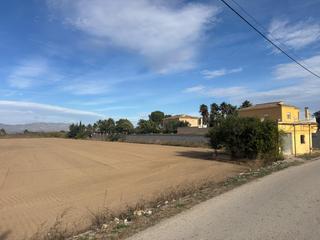 Fondo rustico in Catral. Oportunidad única de terreno rural en catral  arroba la madrigue