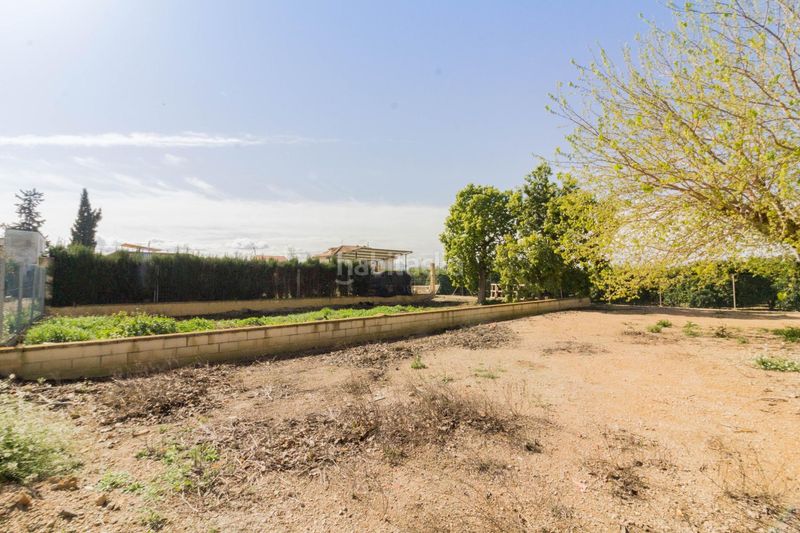 Foto 1dbf1227-1aef-440c-9746-50abbcfabef1. Casa a Desamparados - Hurchillo - Torremendo Orihuela