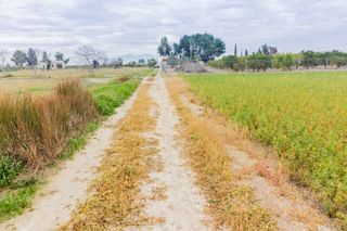 Finca r�stica en Callosa de Segura. Gran terreno r�stico en venta de 17 tahullas en callosa de segur