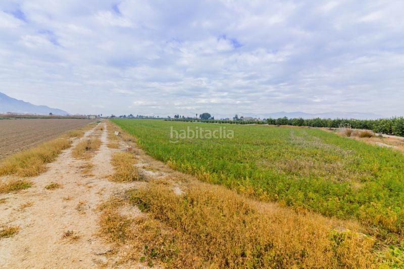 Foto 00447944-40df-498b-ac57-a05c49403962. Finca rústica a Callosa de Segura