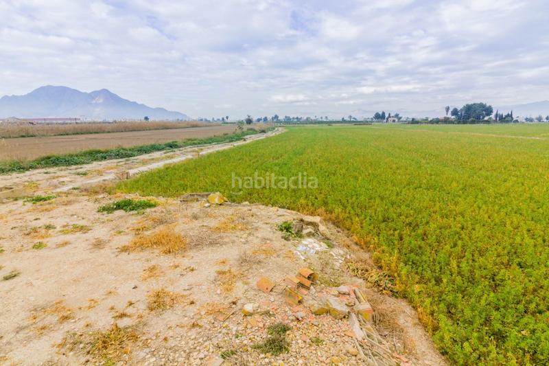 Foto 75198d67-9e05-4493-940d-4caf0e023a1c. Finca rústica a Callosa de Segura