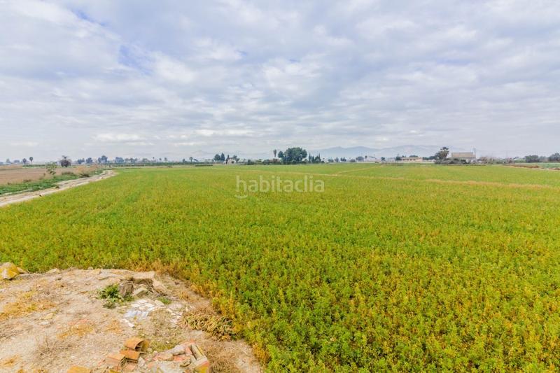 Foto 7f2f2574-7794-439c-8b49-fea8b747f8a1. Finca rústica a Callosa de Segura