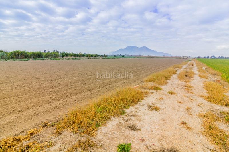 Foto d8739406-b07f-47bd-b0a0-5fa981f45ee8. Finca rústica a Callosa de Segura