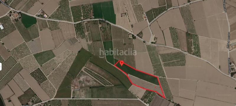 Foto e97ec757-d817-42cf-ad7b-6d0b8787af46. Finca rústica a Callosa de Segura