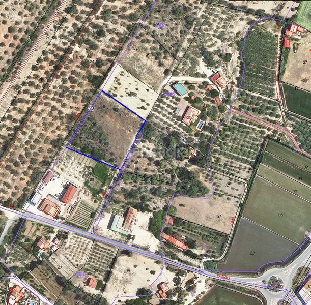 Foto 92a6b19f-7920-42e8-833d-f4616ffe3ff1. Terreny residencial a Ampolla (L´)