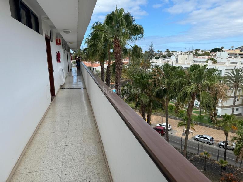 Foto c7fad862-88eb-4d00-91c3-58de48107d5e. Apartament amb piscina a Playa del Inglés San Bartolomé de Tirajana