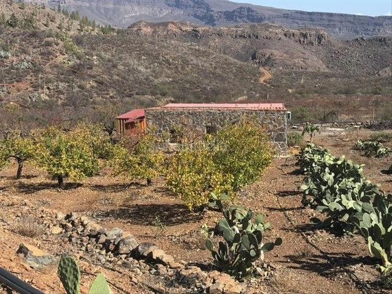 Foto 0ccd3649-f2b8-4e26-969f-6994708820a7. Bauernhof in San Bartolomé Interior San Bartolomé de Tirajana