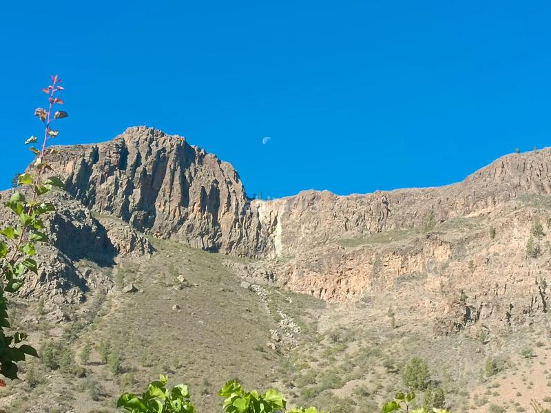 Foto 86054861-8894-424a-b629-13108c5ce8e3. Bauernhof in San Bartolomé Interior San Bartolomé de Tirajana