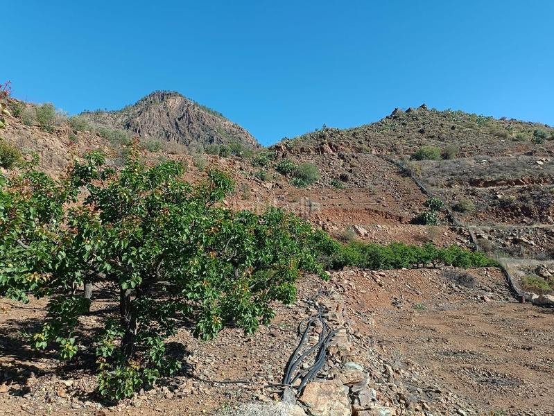 Foto 9aa0164b-2adc-407f-bc04-c63760ee4fae. Bauernhof in San Bartolomé Interior San Bartolomé de Tirajana