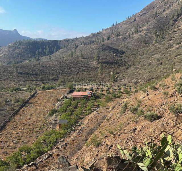 Foto baeeb694-f438-4d24-96b7-f9b8a324db93. Bauernhof in San Bartolomé Interior San Bartolomé de Tirajana