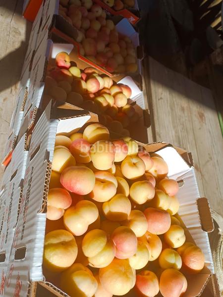 Foto caa1a97c-ce1f-43ba-b59e-af18a234897c. Bauernhof in San Bartolomé Interior San Bartolomé de Tirajana