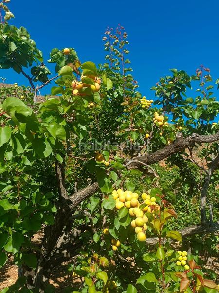 Foto e6d1ff91-c4f8-416a-9332-296eee5d0ed1. Bauernhof in San Bartolomé Interior San Bartolomé de Tirajana