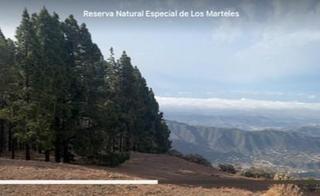 Mas  Lugar lugar montaña del pleito. La finca de sus sueños en canarias un pedazo de paraíso en las n