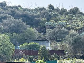Propriété à San José de las Vegas - La Atalaya. Terreno rustico con bancales de llanos y laderas