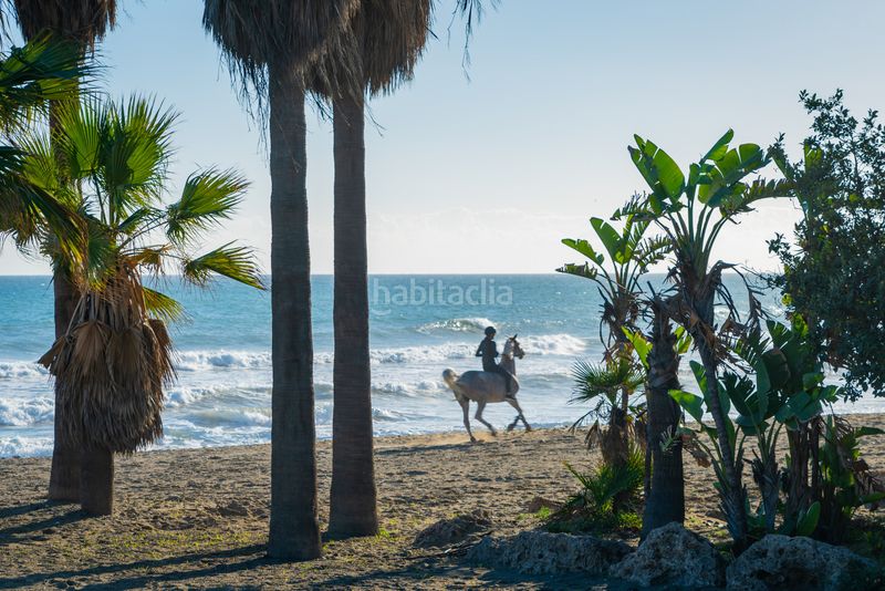 Foto 6a75b16c-a9be-4aa4-b67d-a02589fcf69c. Apartament a goya 8 a Centro Estepona