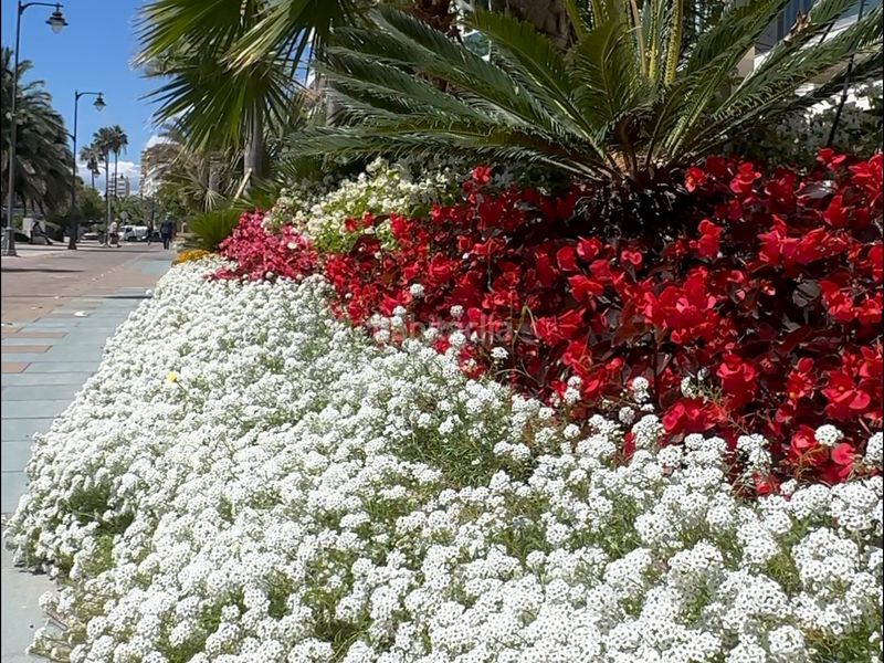 Foto 992daa3f-1c8e-4b5a-8b65-efa2c6742c0a. Apartament a goya 8 a Centro Estepona