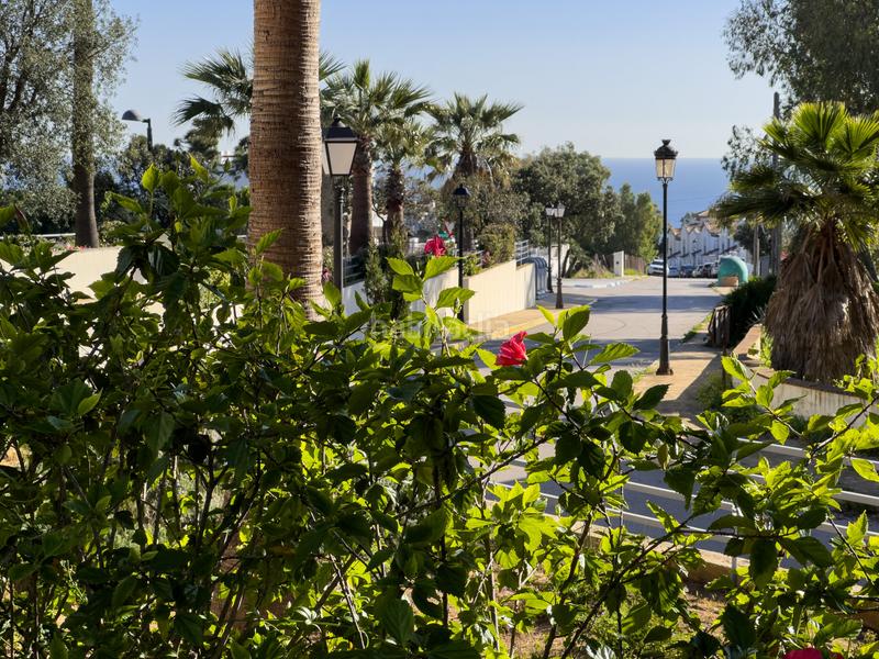 Foto 760587c2-c4d7-4c23-bf1f-217f1135fc9f. Àtic a tubalitas 1 a Chullera Manilva