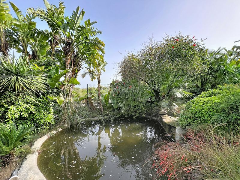 Foto f994feb6-776f-4884-ab8a-7514f52d3628. Apartament amb aparcament piscina a Casares golf - Casares del sol Casares