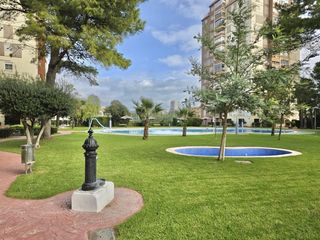 Rent Flat in Platja de la Pobla de Farnals. Area servicios inmobiliarios alquila