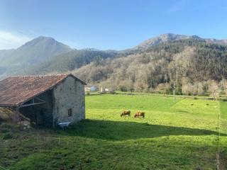 Masia a Vibaña-Ardisana-Caldueño. Cuadra independiente con más de 1 ha i ardisana (llanes)