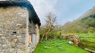 Masia a Vibaña-Ardisana-Caldueño. Cuadra con terreno y vistas a la montaña