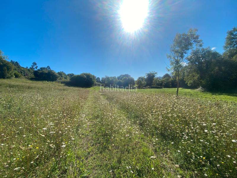 Foto ac299978-69a1-455a-8907-84baa23e96a6. Terreny residencial a Llanes pueblo Llanes