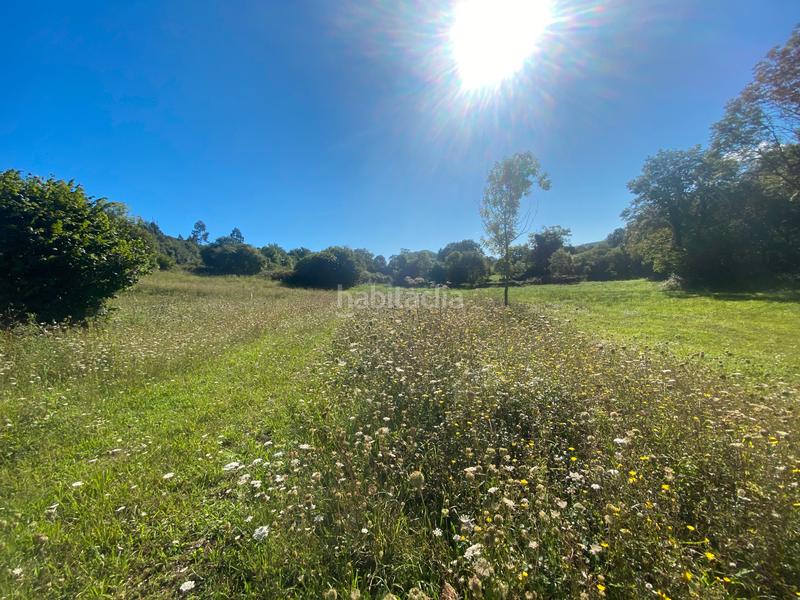 Foto dc983deb-198e-4474-bbcf-ccbd8f89e5f0. Terreny residencial a Llanes pueblo Llanes