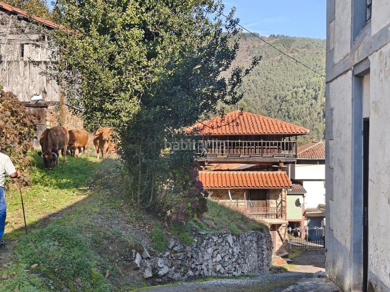 Foto a9051e32-0aaf-4d36-b351-c3a03bec9a48. Casa in Salas