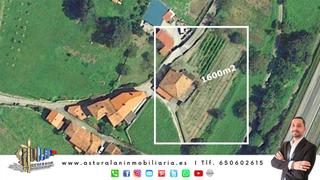 Masia a Pría-Nueva-Hontoria-Naves. Casa para rehabilitar con huerta i piñeres de pría (llanes)