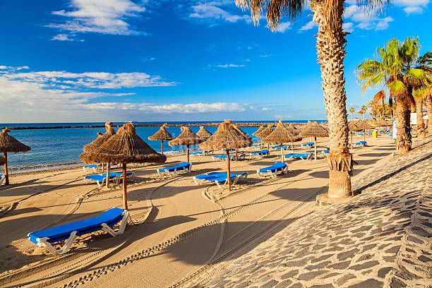 Foto 52a2e55d-ce61-4052-82f0-ef38313a2cd9. Pis a Los Cristianos Arona
