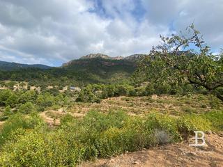 Mas  N/a. Finca rústica en venta en guilletes dalforja  naturaleza y tranq