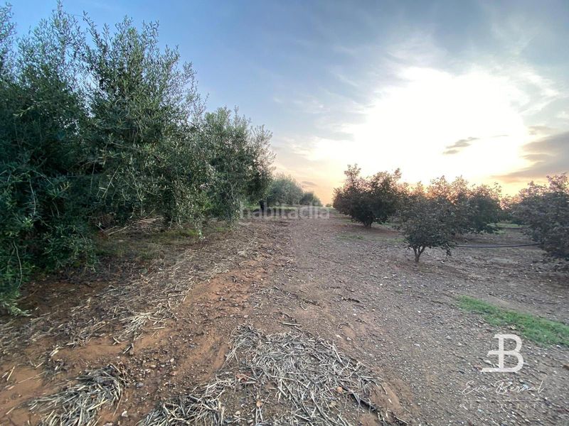 Foto 183a0949-bd17-4a37-99f0-1be64da6a639. Xalet amb calefacció aparcament a Selva del Camp (La)