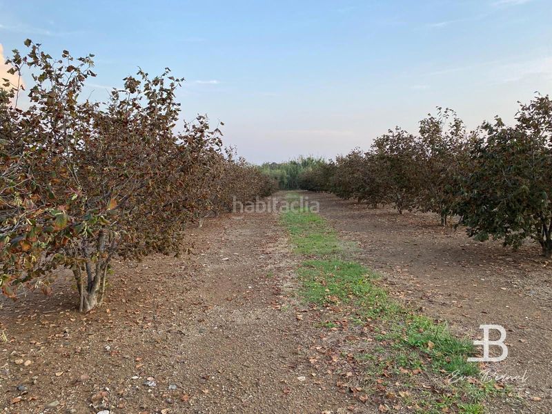 Foto f376e785-08c2-427f-a8de-f7ff961e0d85. Xalet amb calefacció aparcament a Selva del Camp (La)
