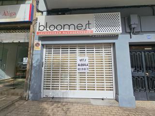 Local Comercial a Buenavista - Chapatal