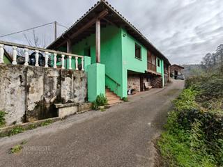 Mas à Caserio llosa nueva 2. Todo verde a mi alrededor en villaviciosa